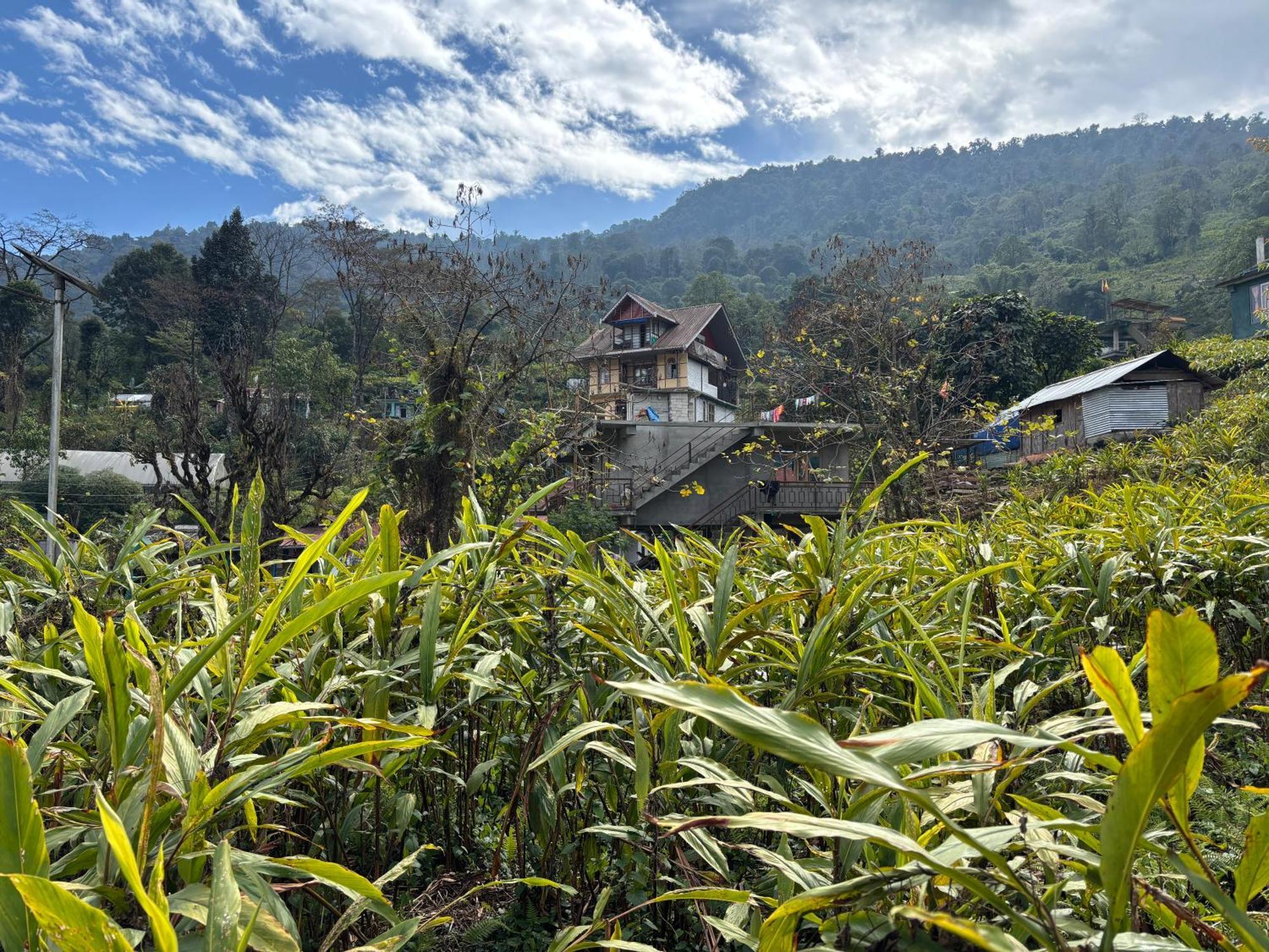 Odyssey'S Darap Eco Retreat Διαμέρισμα Pelling Εξωτερικό φωτογραφία
